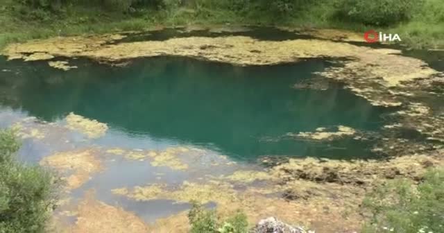 Türkiye’de dört taneler: Turistlerin ilgi odağı