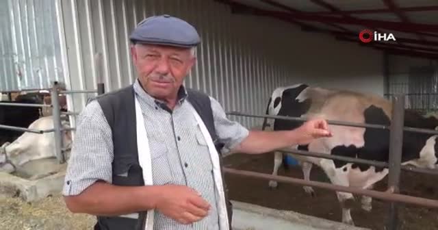 1 buçuk tonluk “Bayram” alıcısını bekliyor