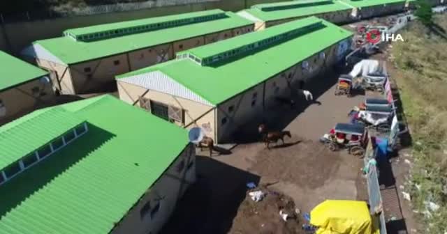 Büyükada'daki faytoncularla akülü araç sahipleri arasında kavga kamerada