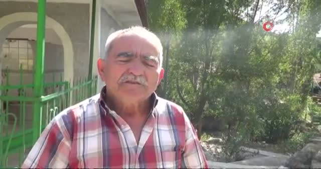 Her şey yakınlarına ulaşmak için: Minareye, çatılara ve ağaçlara çıkıyorlar