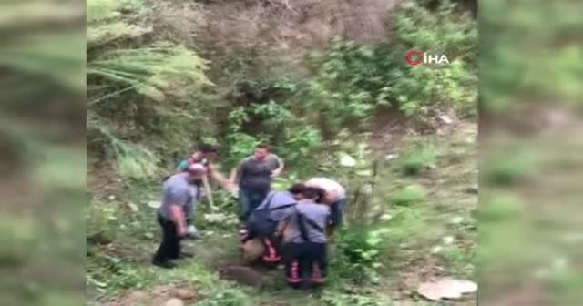Kaçan kurbanlık koyun 9 gün sonra bulundu