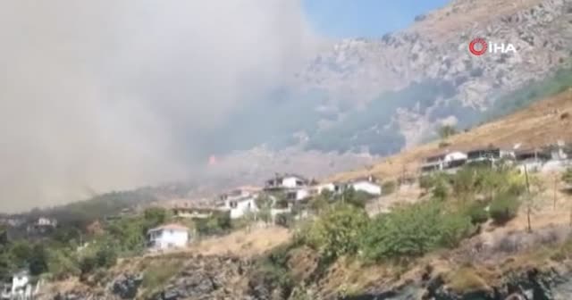 Marmara Adası'nda orman yangını