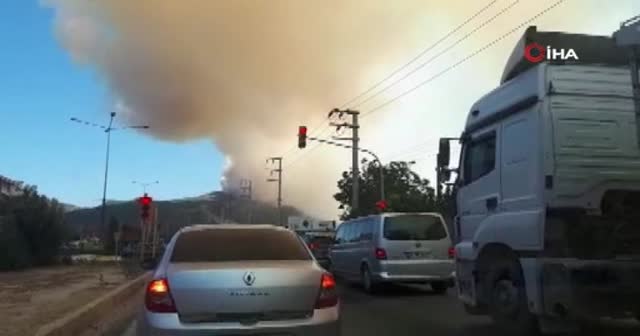 Milas’ta orman yangını