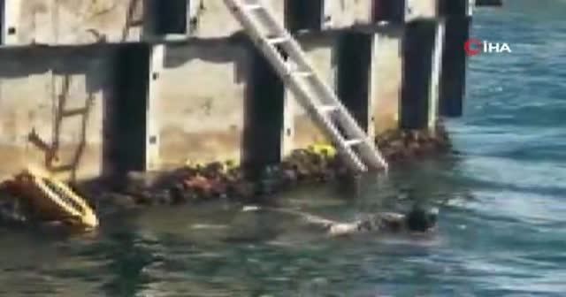 Galata Köprüsü'nde korkutan  intihar girişimi