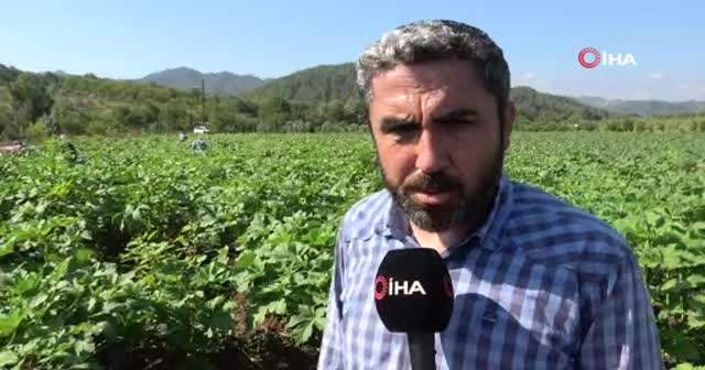 Yöneticiliği bırakıp çiftçi oldu, 'Huzuru tarımda buldum' dedi