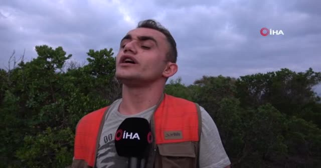 Defineciler ormanı köstebek yuvasına çevirdi