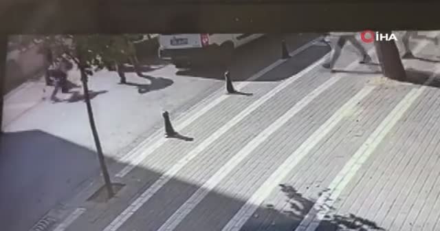 Korkunç! Annesinin elinden yola fırlayan minik kızın sonu feci oldu
