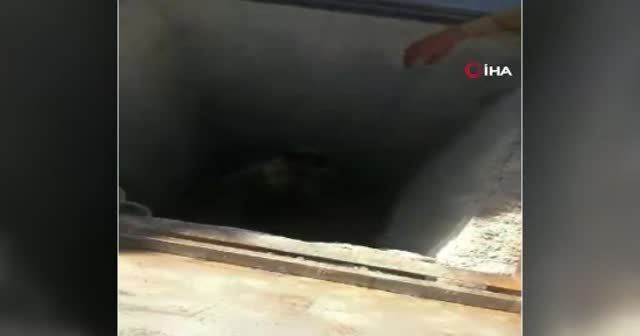 Resulayn’da PKK’ya ait tünel bulundu
