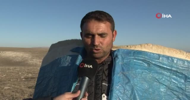 İki yabancı dil bilen aday öğretmen atanamayınca çobanlık yapmaya başladı