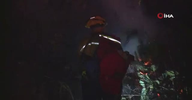 Kaliforniya'da 23 Ekim'de başlayan yangın hala söndürülemedi