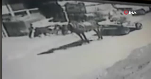 Kendi mallarıymış gibi aldılar