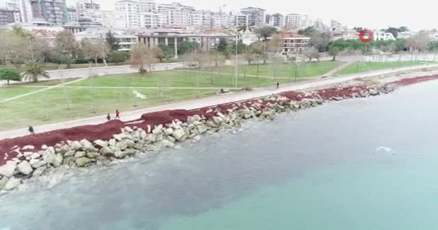 Caddebostan Sahili kızıla büründü!