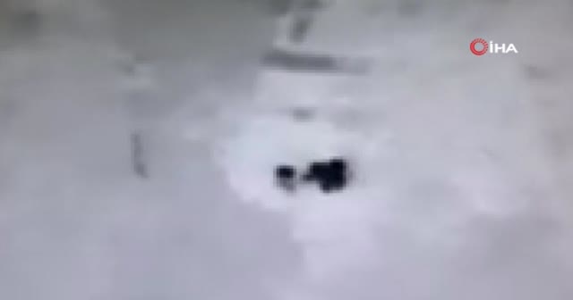 İsrail askerleri Gazze sınırında 3 Filistinliyi öldürdü