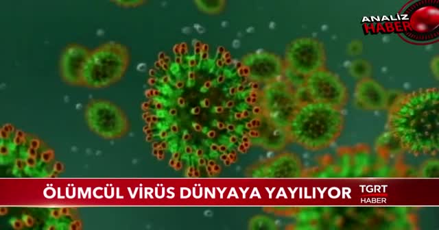 Ölümcül virüs dünyaya yayılıyor