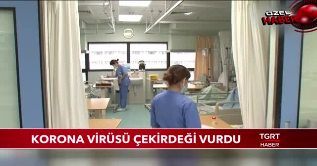 KORONAVİRÜS ÇEKİRDEĞİ VURDU