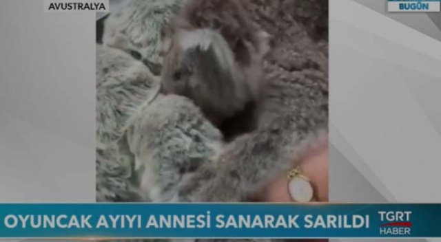 Oyuncak ayıyı annesi sanarak sarıldı