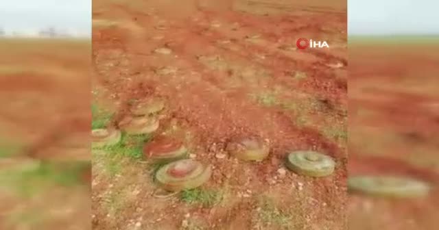 SMO, Esad rejimi mayınlarını imha etti