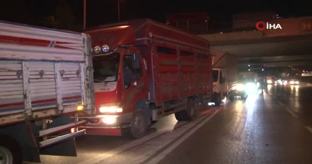 Bayrampaşa halinde gece başlayan yoğunluk sabah saatlerine kadar devam etti