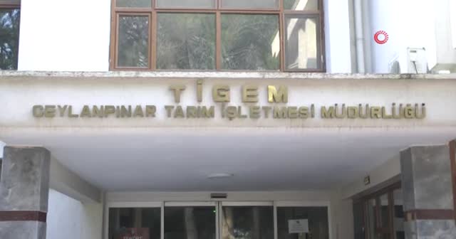 Bakan Pakdemirli müjdeyi verdi: Şanlıurfa'ya 70 milyonluk dev proje