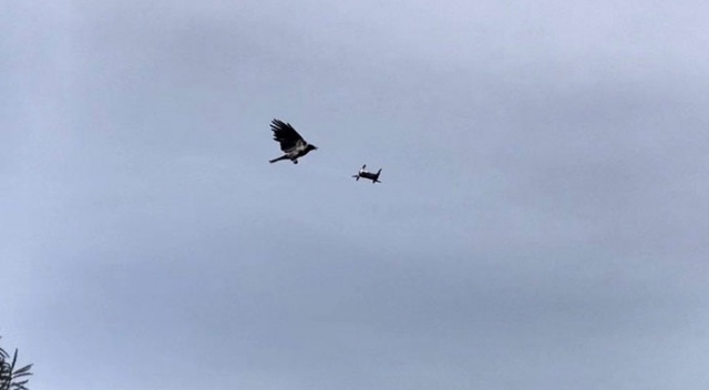 Karganın drone saldırısı renkli görüntülere sahne oldu