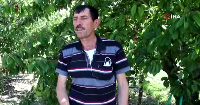 Bahçesinin girişine öyle bir şey yazdı ki gören bir daha dönüp baktı!