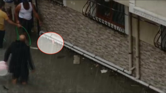 Esenyurt’ta can pazarı kamerada