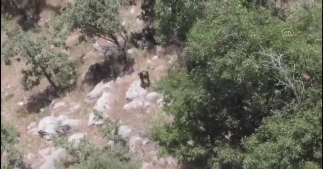 Pençe-Kaplan Operasyonu'nda 9 PKK'lı terörist etkisiz hale getirildi