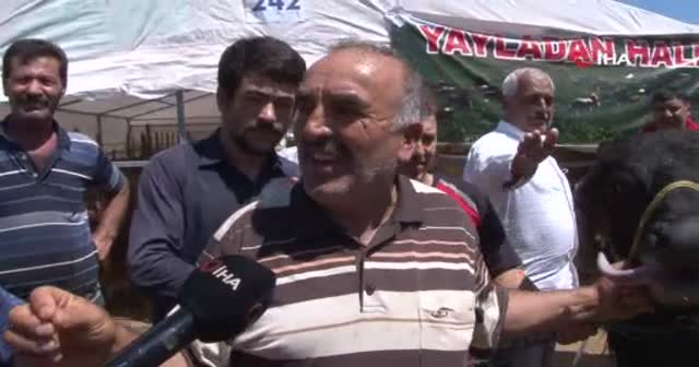 Bin 200 kilometrelik yoldan gelen ‘Paşa’ kurban pazarının gözdesi oldu