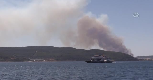 Çanakkale'de orman yangını