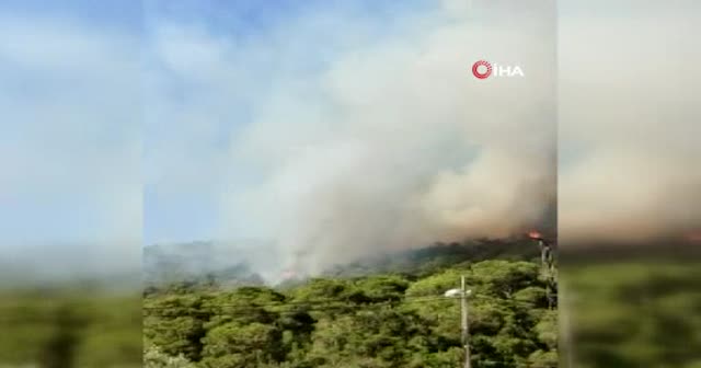 Heybeliada'daki orman yangınına vatandaşlar pet şişelerle su taşıdı
