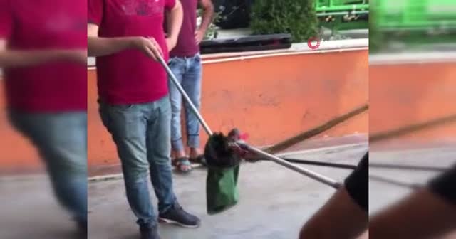 Panik anları! Aracının içine yılan kaçtı