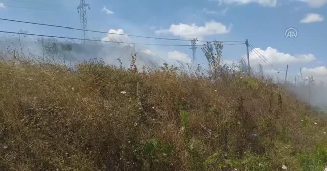 Tuzla'da ormanlık alanda çıkan yangın söndürüldü