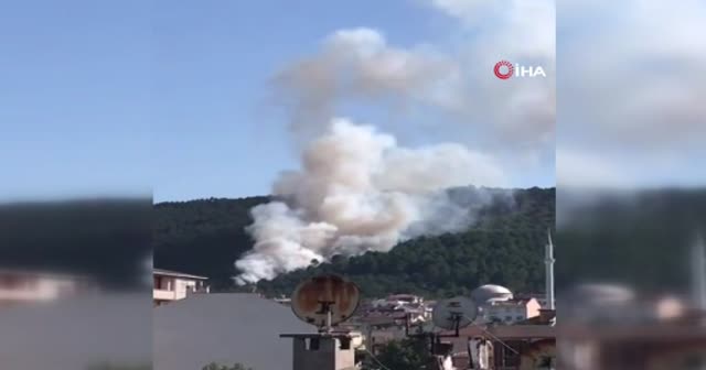 Aydos Ormanlarında yangın çıktı