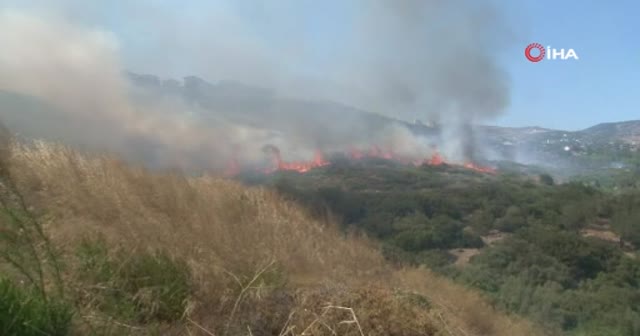 İzmir'de Menderes'in ardından Bornova'da da yangın çıktı