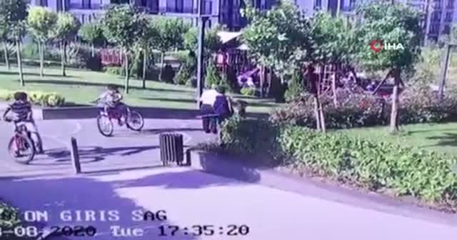 Komşu çocuğuna 'köpeğimle oynama' dayağı