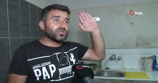 Vatandaş tedirgin... Mahallede böcek istilası! Her yerden fışkırıyor