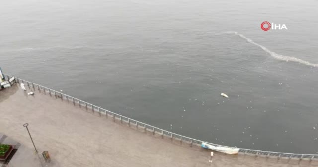 Yağmur sonrası İstanbul Boğazı'nda şok eden görüntü