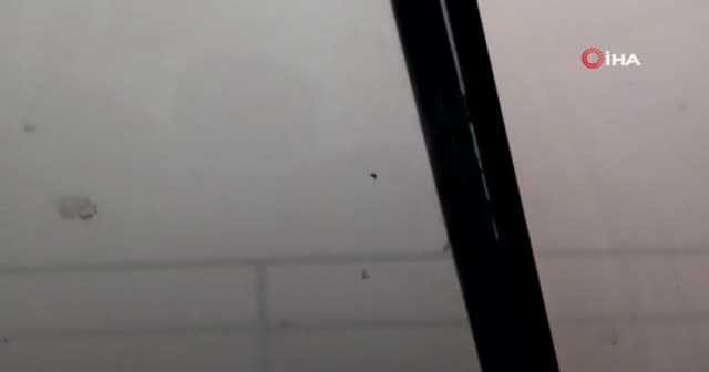 Polatlı'daki toz fırtınası sırasında hayvanların kaçışı kameralara yansıdı