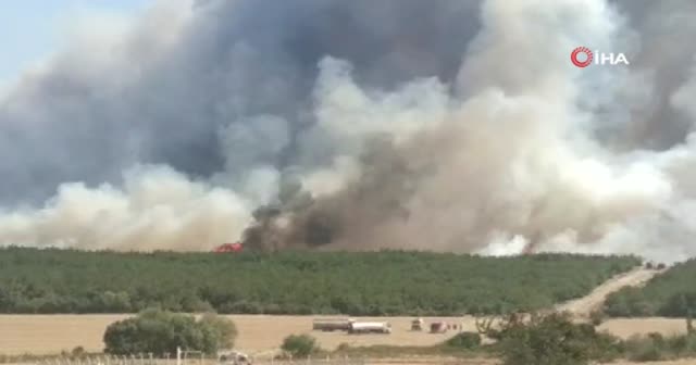Tekirdağ’da orman yangını: Rüzgarın etkisiyle yangın Çanakkale’ye sıçradı