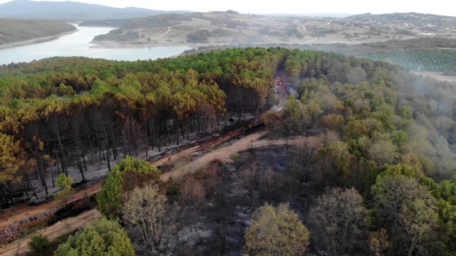 Pendik’te yangının tahribatı gün ağarınca ortaya çıktı