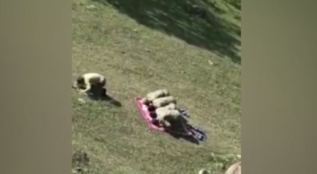 Cephe hattında namaz!