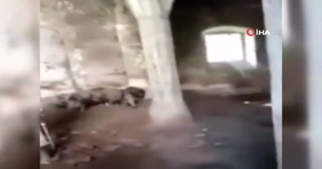 Ermenistan'dan büyük alçaklık! Tarihi camiyi bu hale getirdiler