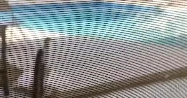 Evinin kapısına ayı dayandı! O anları böyle kaydetti