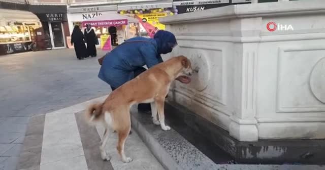 Köpeğe elleriyle verdiği su yürekleri ısıttı