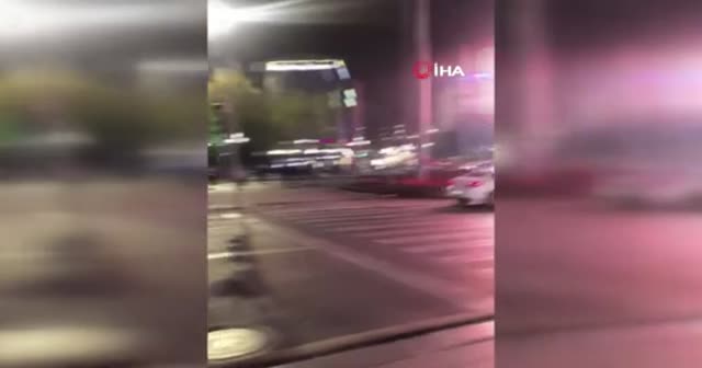 Sokak köpeği yolun karşısına geçmek için yeşil ışığı bekledi