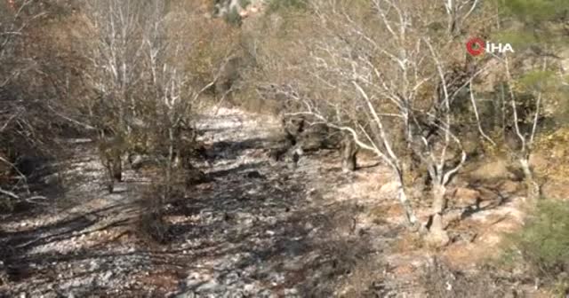 Antalya'da kuraklık nedeniyle Üzümdere Irmağı kurudu