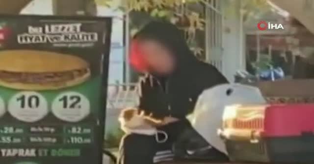 Beslediği hamsterı önce tokatladı, sonra ısırmaya çalıştı