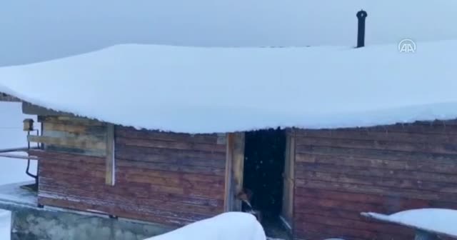 Kaçkar Dağları'ndaki yaylalara kar yağdı