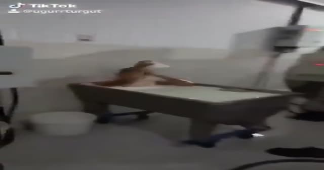 Kazanda süt banyosu! Bakanlık soruşturma başlattı