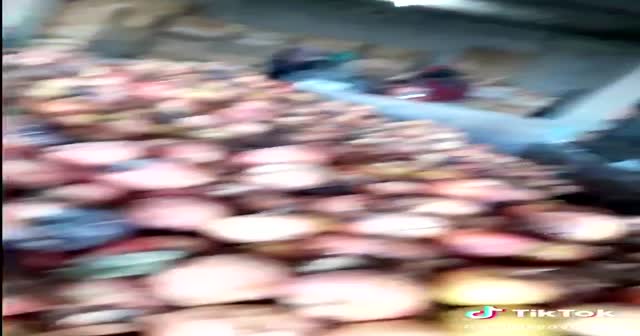 Tarım ve Orman Bakanlığı'ndan 'Çürük elma' görüntüleriyle ilgili açıklama